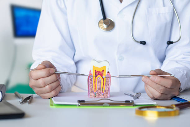 Best Emergency Orthodontic Services in Mcdonald, OH